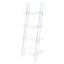Cimarron - Ladder Bookcase With 4 Shelves - Clear