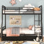 Contemporary Bunk Bed