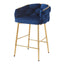 Modern Counter Stools (Set of 2)