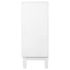 Carillon - 2 Door Accent Cabinet - White