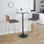 Mason Mara - Contemporary Versatile Desig Fixed Height Barstool (Set of 2)