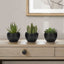Artificial Succulent Plants (Set of 3)