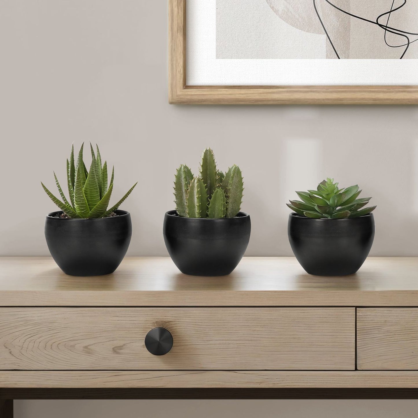 Artificial Succulent Plants (Set of 3)