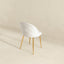 Marion - Mid Century Modern Dining Chair (Set of 2)