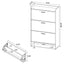 Kyla - 3 Tier Shoe Cabinet