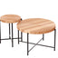 Coffee And End Table Set Waterproof Cover (Set of 2) - Natural Wood / Brown