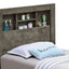 Bed With Transitional Design Stylish