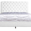 Elegant Transitional Upholstered Bed