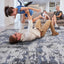 Payas - Abstract Area Rug