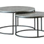 Lainey - 2 PC NESTING COFFEE TABLE
