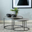 Lainey - 2 PC NESTING COFFEE TABLE