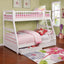 Ashton - TWIN / FULL BUNK BED