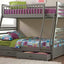Ashton - TWIN / FULL BUNK BED