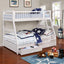 Ashton - TWIN / FULL BUNK BED