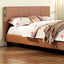 Evans-Twin Bed