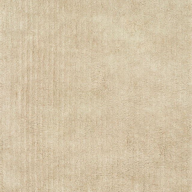 Zala Shag-Medium Area Rug