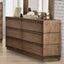 Coimbra-Dresser