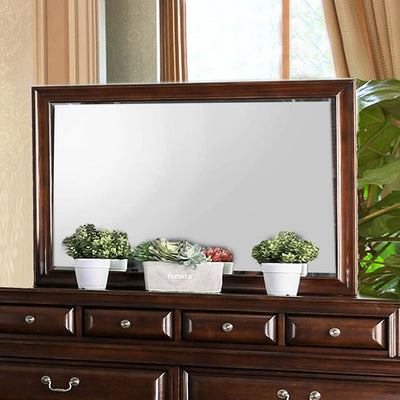 Brandt-Mirror