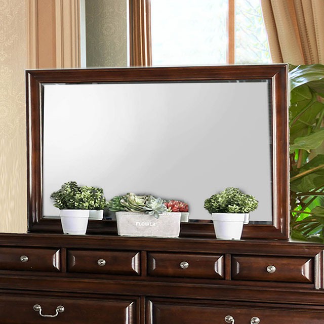 Brandt-Mirror