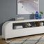 Vodice-Bookcase