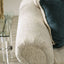 Delgada-Loveseat