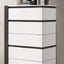 Birsfelden-Chest