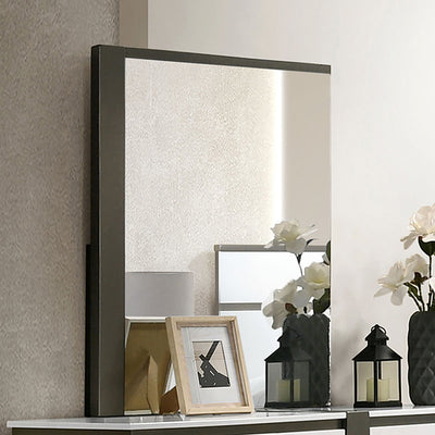 Birsfelden-Mirror