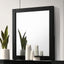 Magdeburg-Mirror
