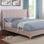 Pearl-Queen Bed