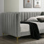 Neoma-Daybed