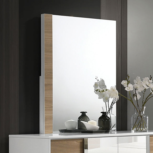 Erlangen-Mirror
