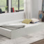Lycorida-Trundle/Drawer