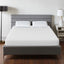 Artemisia-10" Queen Memory Foam Mattress