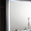 Ventnor-Mirror