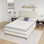 Catmint-10" Full Innerspring Mattress