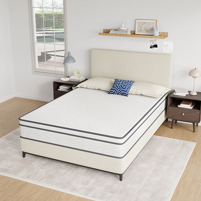 Catmint-10" Full Innerspring Mattress