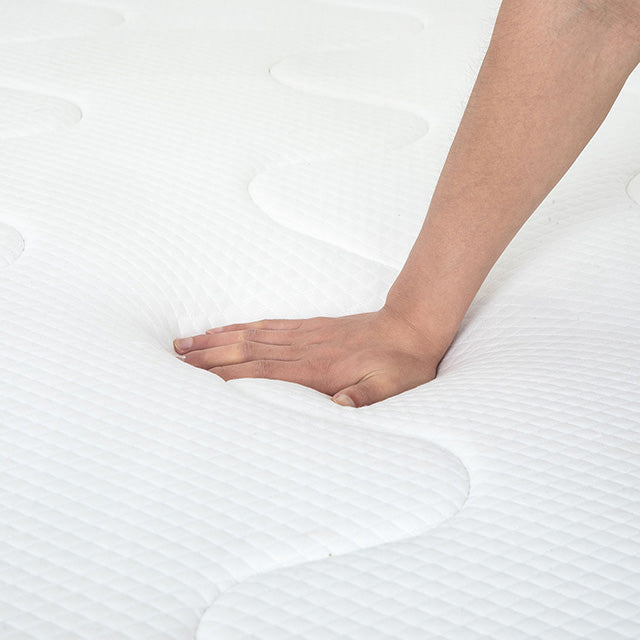 Catmint-10" Full Innerspring Mattress