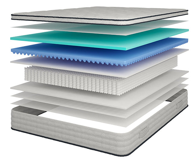 Salvia-12" Queen Hybrid Pocket Coil Mattress