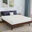 Nasturtium-8" Queen Bamboo Charcoal Infused Memory Foam