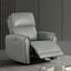 Schlieren-Power Recliner