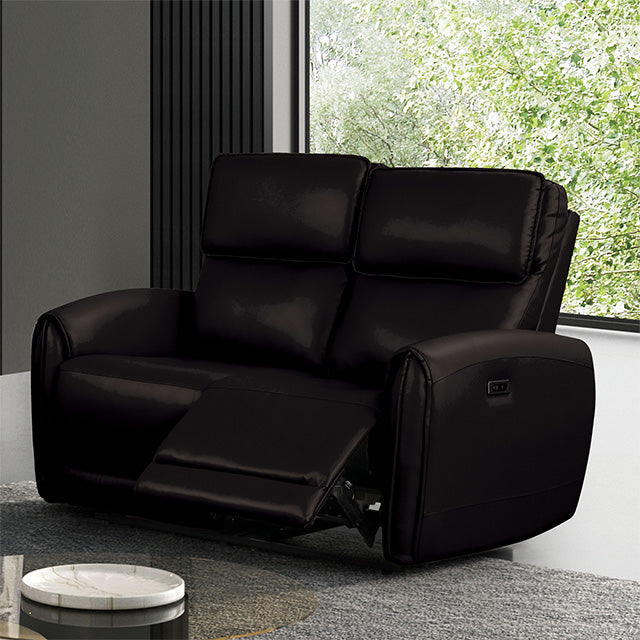 Schlieren-Power Loveseat
