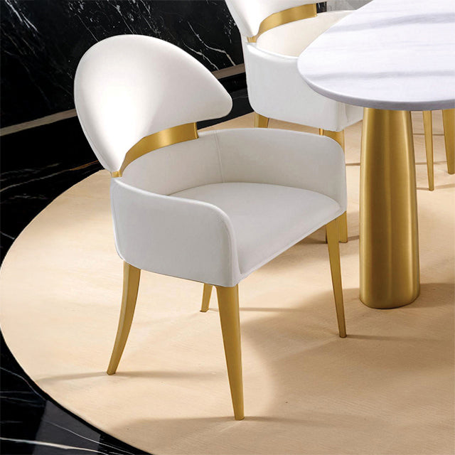 Northam-Arm Chair (2/CTN)
