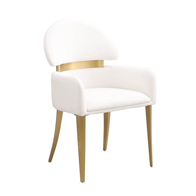Northam-Arm Chair (2/CTN)