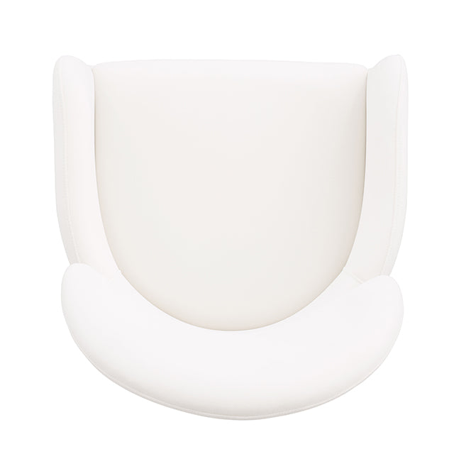 Northam-Arm Chair (2/CTN)