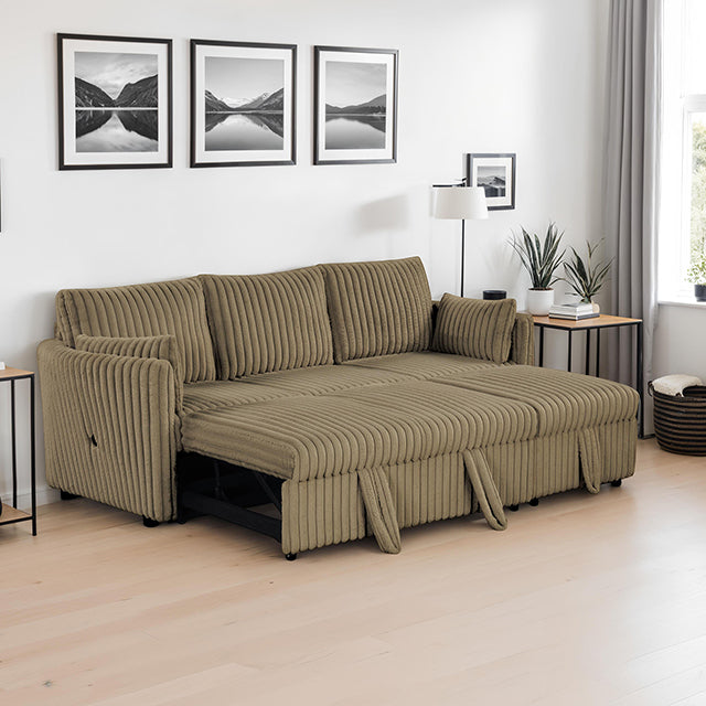 Denholme-Sectional w/ Pull Out
