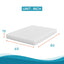 Artemisia-10" Queen Memory Foam Mattress