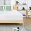 Artemisia-12" Memory Foam Mattress