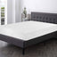 Artemisia-12" Memory Foam Mattress