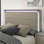 Rainier-5 Pc Queen Bedroom Set (Panel HB)