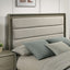 Rainier-5 Pc Queen Bedroom Set (Upholstered HB)